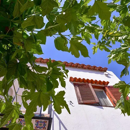 Euromar I - Tepinsa Alquiler De Apartamentos Torreblanca Exterior photo